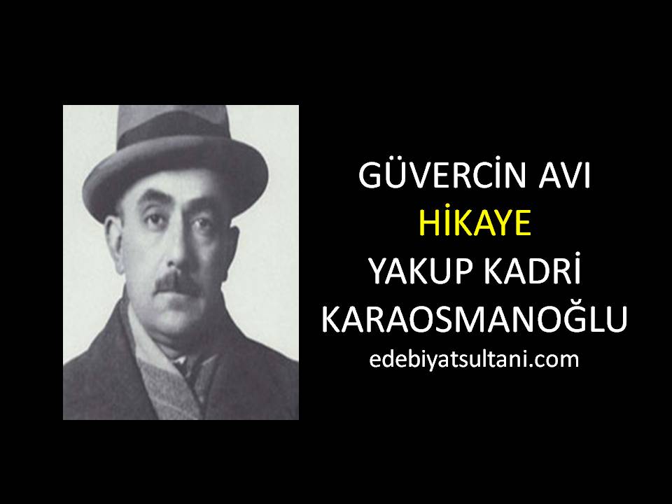 Guvercin Avi Yakup Kadri Karaosmanoglu Edebiyat Sultani